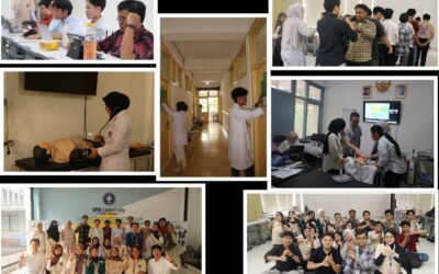 Medical Student Professional Skill Enrichment (MEDSPRO)